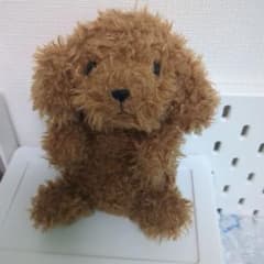 potte トイプードル ぬいぐるみのサムネイル