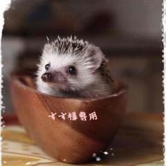 クリアファイルのサムネイル