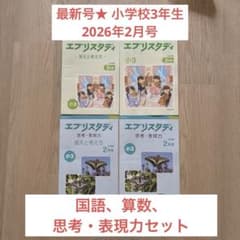 ほぼ未使用　Z会 小3 3年生 エブリスタディ 思考力 表現力 12ヶ月セット ほぼ未使用 Z会 小3 3年生 エブリスタディ 思考力 表現力 12ヶ月セット