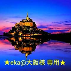 eka@ 大阪様 専用／ありがとうございます♪のサムネイル