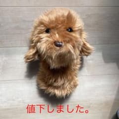 DAPHENS ゴルフドライバーヘッドカバー(DOODLE DOG)のサムネイル