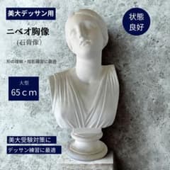 石膏像 ニベオ胸像 大型65cm デッサン用 美大受験対策 美術模型 石膏像 ニベオ胸像 大型65cm デッサン用 美大受験対策 美術模型 - メルカリ