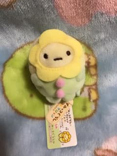 스미코구라시 타피오카 꽃 테노리 인형 신품 태그 첨부