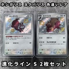 ホシガリス ヨクバリス 色違い S 2枚セット 進化ライン シャイニー