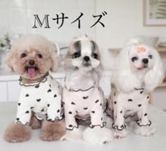 犬服のサムネイル