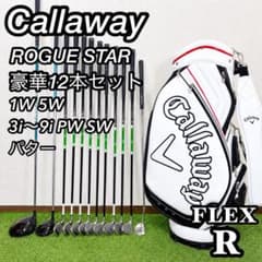 キャロウェイ ローグスター X20 メンズ ゴルフセット 初心者 入門 R 右