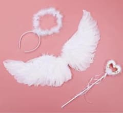 天使の羽セットのサムネイル