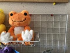 かえるのピクルス オレンジのサムネイル