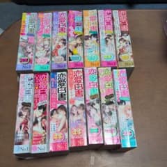 恋愛白書 パステル2022年、2023年 の14冊セット.少女漫画
