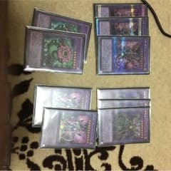 遊戯王 プレデタープランツデッキ エリザベス様専用のサムネイル