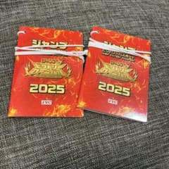 即日発送】ジャンプビクトリーカーニバル2025 パスポート 2冊セット