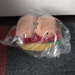 카피바라씨 제일 복권