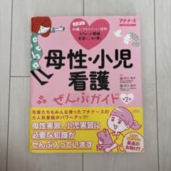 母性・小児看護ぜんぶガイド : 基礎知識 アセスメント 異常・疾患 技術 : …のサムネイル