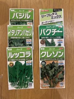 野菜・ハーブの種　6種類セット(水耕栽培におすすめ)のサムネイル