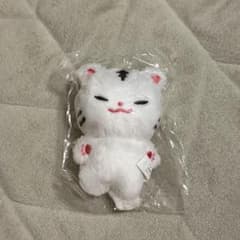 SEVENTEEN ホシ マスター ぬいぐるみ 10cm - メルカリ