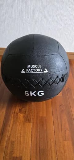 ​【美品】メディシンボール 5kg ソフト MUSCLE FACTORY 筋トレのサムネイル