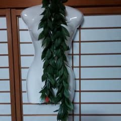 フラダンス　タヒチアンダンス　マイレレイのサムネイル