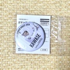 福岡ソフトバンクホークス 缶バッジ 川瀬晃 鷹祭 - メルカリ