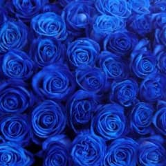 EriandMew様専用のサムネイル
