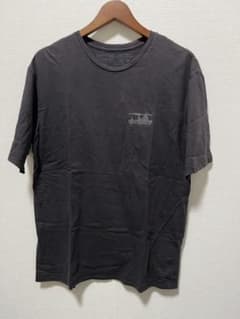 Patagonia Tシャツ Sサイズのサムネイル
