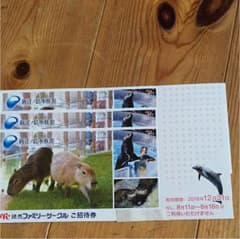 新江ノ島水族館チケット3枚 Norio  Kishi様専用のサムネイル