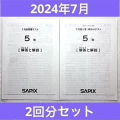 サピックス 5年7月度入室組分けテスト 2回分セット 2024年原本 - メルカリ