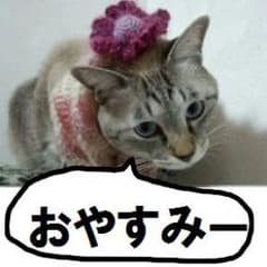 キム様専用です。のサムネイル
