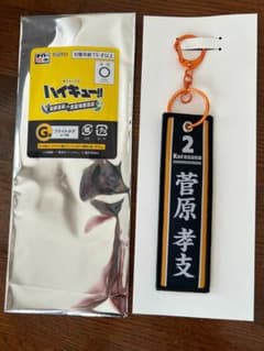 ハイキュー!! タイトーくじ フライトタグ 菅原孝支のサムネイル