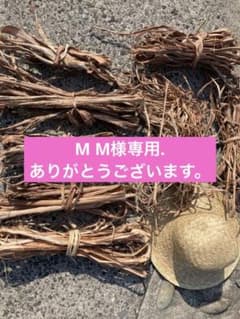 山葡萄皮今だけ1キロ《7777円》是非お買い求め下さいのサムネイル
