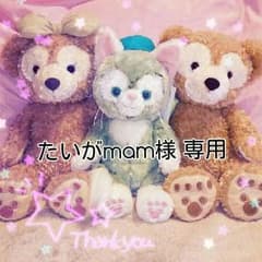 たいがmam様 専用ビームス BEAMS ランチトートのサムネイル