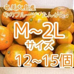 10世界自然遺産 奄美大島産 完熟たんかん 3キロ M~2L 家庭用 柑橘 旬
