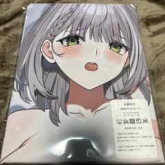 ホロライブ 白銀ノエル/抱き枕カバー - メルカリ