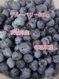 茨城県産ブルーベリー 600gのサムネイル