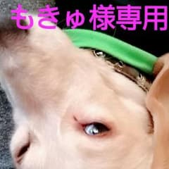 気持ちお値下げしました！美品 RNAユニコーン柄ワンピのサムネイル