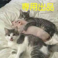 専用出品のサムネイル