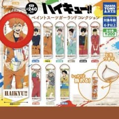 ハイキュー!! 日向翔陽 ペイントスーツガーランドコレクションのサムネイル