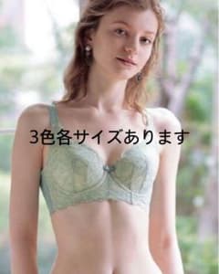本日限定価格【補正下着】レースブラジャー育乳エルローズ