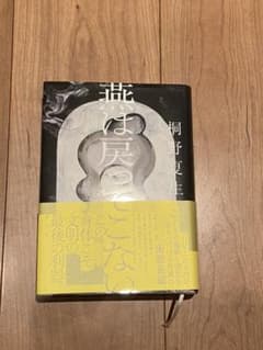 燕は戻ってこないのサムネイル