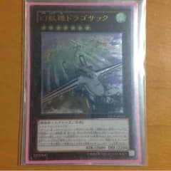 jemさん専用。ドラゴサック レリーフのサムネイル