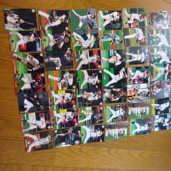 プロ野球カード 大量セット まとめ売り１９７枚