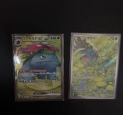 ポケモンカード フシギバナex フシギダネ 2枚セットのサムネイル