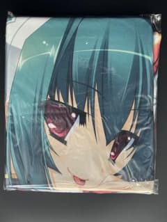 真・恋姫†無双 ～萌将伝～ 関羽＆趙雲 ベッドシーツ ソフマップ購入