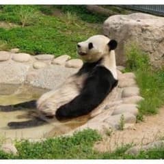 ひにゃ様専用のサムネイル