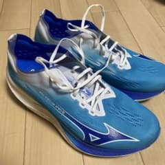 【28.5cm】Mizuno Wave Rebellion PRO 2のサムネイル