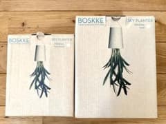 boskke ボスケ　スカイプランターのサムネイル