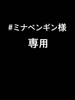 専用ページです。のサムネイル