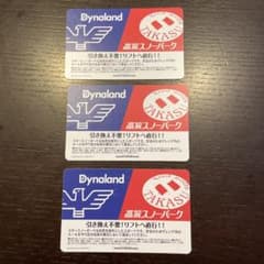 Dynaland 高鷲スノーパーク リフト券 3枚セットのサムネイル
