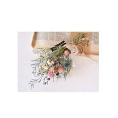 ▽ hanchan 様のサムネイル