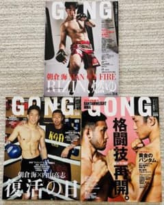 ゴング格闘技 No.308.309.314号　3冊　朝倉海 RIZIN GONGのサムネイル