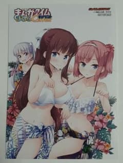 NEW GAME!! 뉴 게임 게이머즈 한정 수영복 비매품 브로마이드